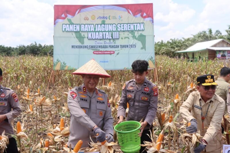 Dukung Ketahanan Pangan Nasional, Kapolda Kalteng Panen Raya Jagung di Pulang Pisau