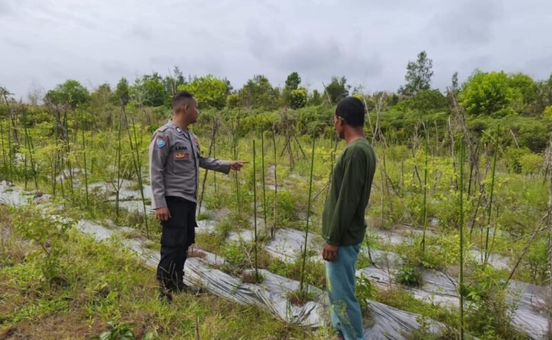 SATBINMAS SAMBANG PETANI SAMPAIKAN PESAN-PESAN KAMTIBMAS