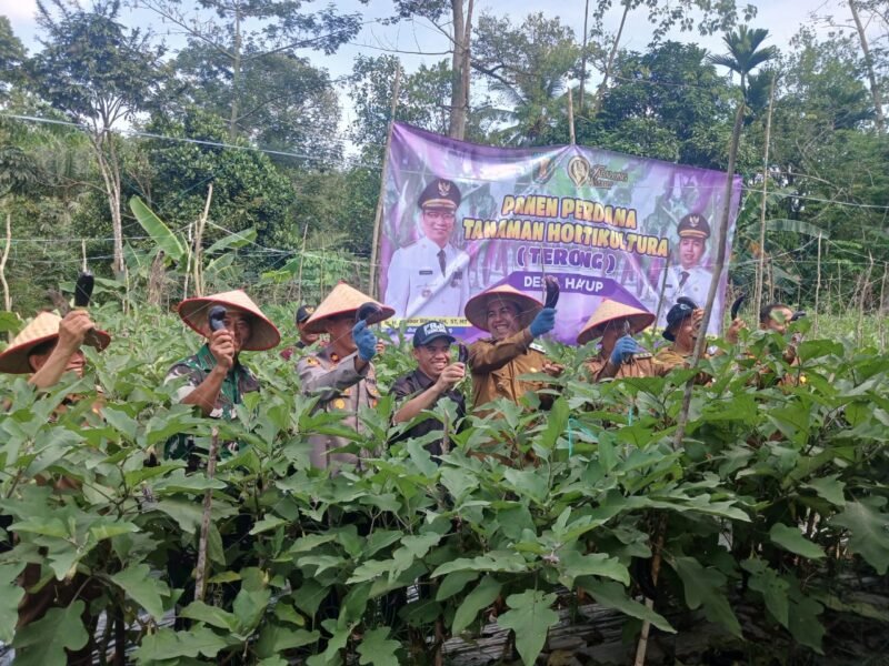 Kolaborasi TNI dan Pemkab Tabalong Sukseskan Layanan Publik Terpadu di Desa Hayup