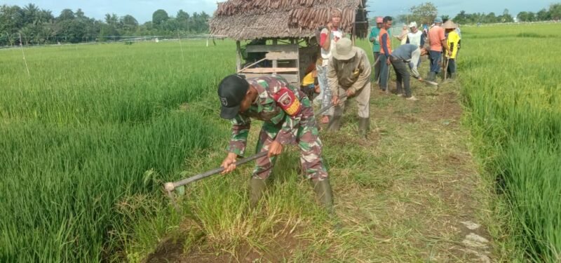 TNI dan Warga Bersinergi Jaga Akses Pertanian di Hulu Sungai Tengah