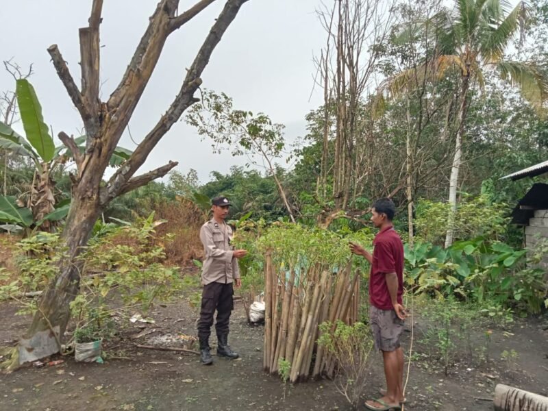 Giat dukungan terhadap program pemerintah Pusat tentang Ketahanan Pangan