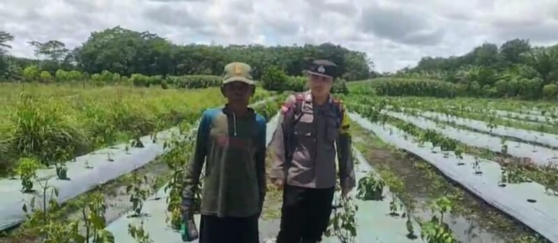 Personel Polsek Maliku Sosialisasi Kepada Masyarakat Kecamatan Maliku