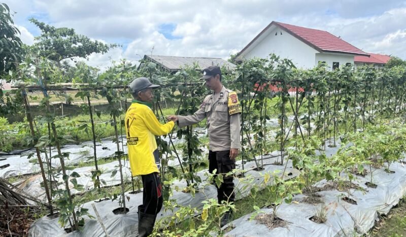 Giat dukungan terhadap program pemerintah Pusat tentang Ketahanan Pangan