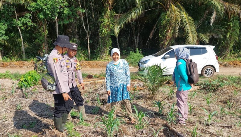 Sambang dan Edukasi, Polsek Kahayan Hilir Dorong Pemanfaatan Lahan Jagung untuk Ketahanan Pangan