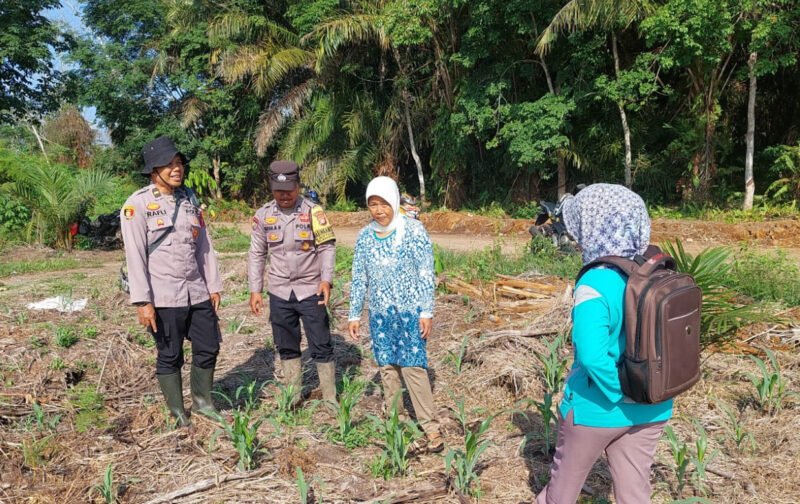 Ketahanan Pangan Jadi Prioritas, Polsek Kahayan Hilir Lakukan Sambang dan Cek Lahan Jagung Bersama PPL Pertanian