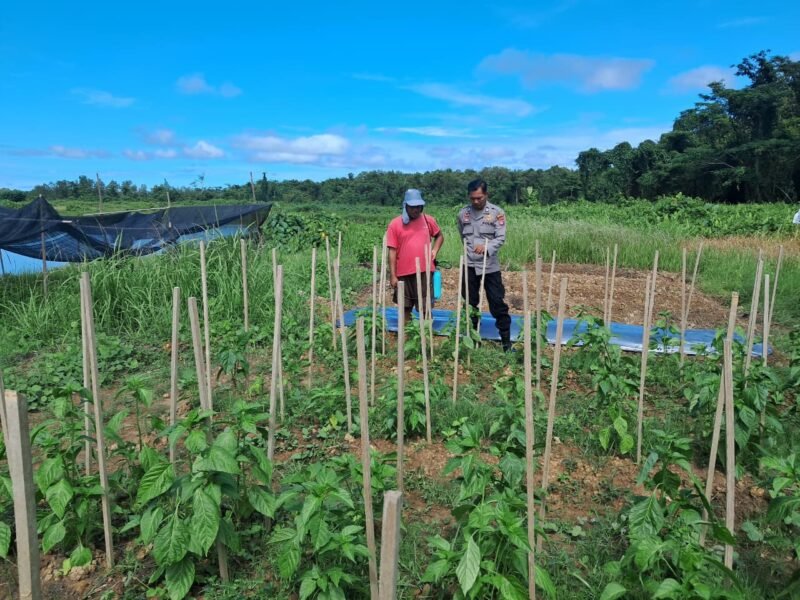 SATBINMAS SAMBANG PETANI SAMPAIKAN PESAN-PESAN KAMTIBMAS