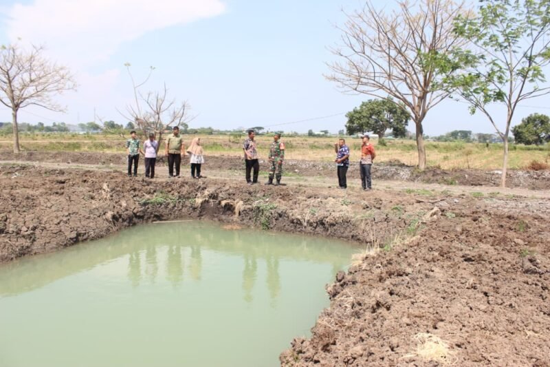 Satgas TMMD, ke-126 Kodim 0816/Sidoarjo Bersama Dinas Perikanan Tinjau Kolam Ikan di Desa Kedondong
