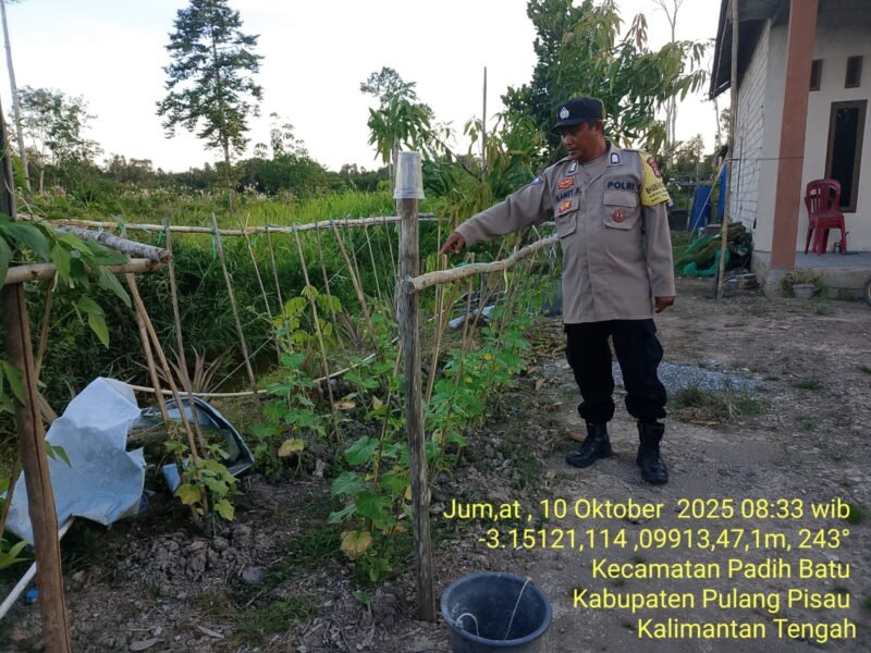 Bhabinkamtibmas Desa Dandang Sambangi Masyarakat Desa Binaan sekaligus Sisipkan Pesan Kamtibmas terkait pemanpaatan perkarangan Untuk Menanam Tanaman Pangan Bergizi