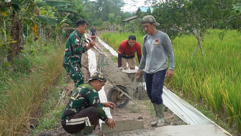 Satgas TMMD Regtas Ke 126/Kodim 1208/Sambas Gunakan Arko Untuk Angkut Adukan Semen Pada Pekerjaan Rabat Beton