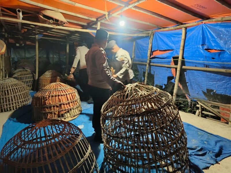 jajaran Polres Lamongan Polda Jatim bongkar arena judi sabung ayam di Dua lokasi berbeda,
