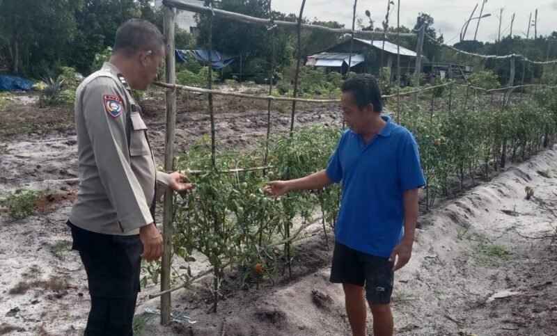 SATBINMAS SAMBANG PETANI SAMPAIKAN PESAN-PESAN KAMTIBMAS