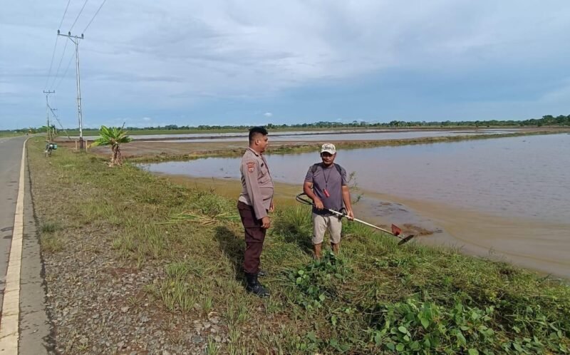 Bhabinkamtibmas Food Estate Melaksanakan Cek Sawah untuk Pengawasan Keamanan dan Ketahanan Pangan