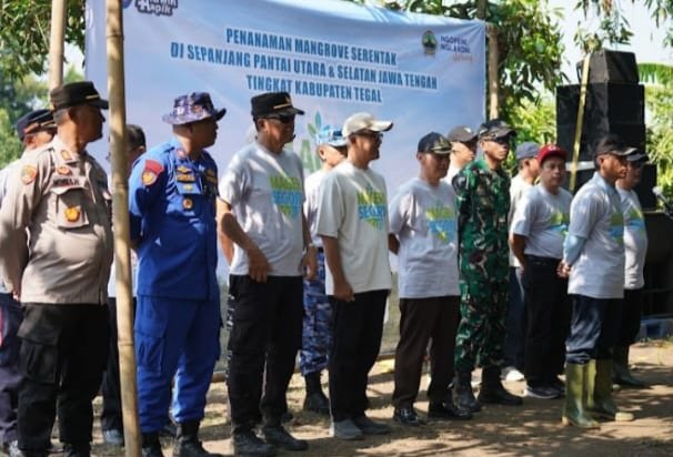 Cegah Abrasi, 8.000 Pohon Ditanam di Ekosistem Mangrove