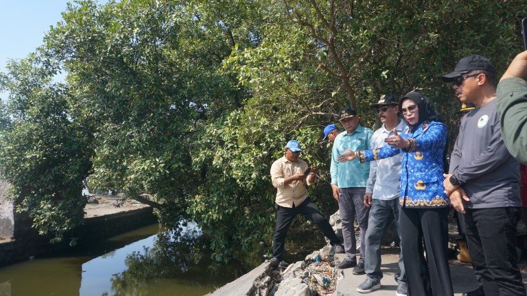 Wakil Bupati Sidoarjo, Hj. Mimik Idayana melakukan sidak ke lokasi jembatan yang putus di Desa Tambak Cemandi, Kecamatan Sedati, pada hari Jumat (17/10/2025). Didampingi oleh Kepala Dinas Pekerjaan Umum, Bina Marga, dan Sumber Daya Air (PUBM SDA) Sidoarjo, Dwi Eko Saptono, Camat Sedati dan Kepala Desa Tambak Cemandi, Wabup meninjau langsung kondisi jembatan yang menjadi akses vital bagi warga setempat.(foto: redaksi/antok)