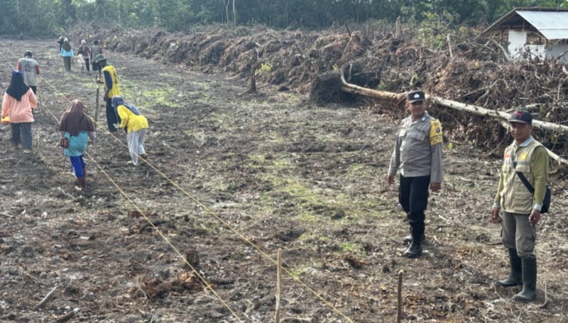 Bhabinkamtibmas Maliku Buktikan Polisi Peduli Ketahanan Pangan
