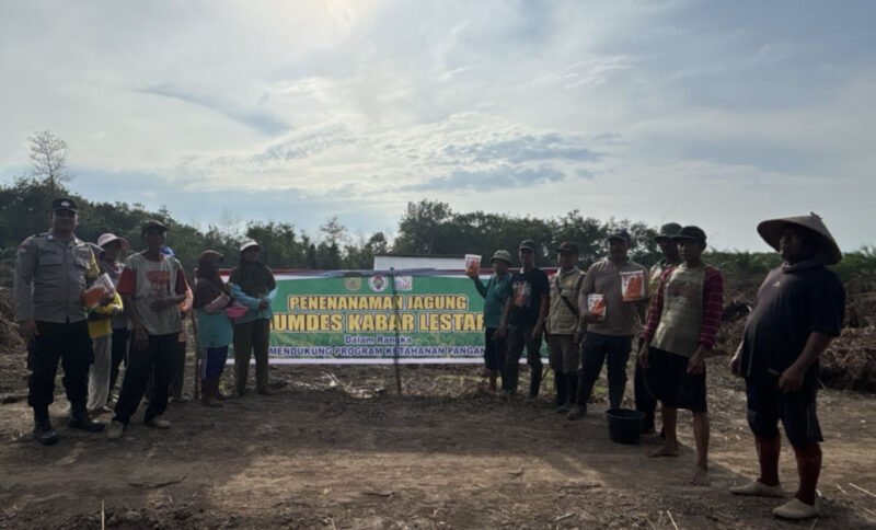 Bhabinkamtibmas & Warga Kanamit Barat Tanam Jagung Bareng
