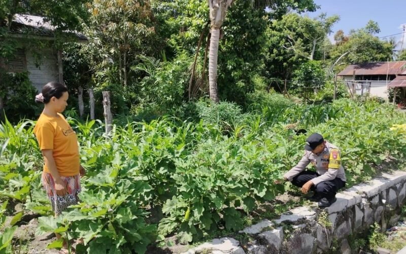 SATBINMAS SAMBANG PETANI SAMPAIKAN PESAN-PESAN KAMTIBMAS