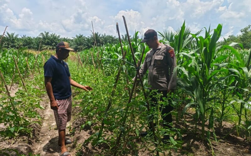 Sambang ke Masyarakat, Personel Polsek Maliku Lakukan Sosialisasi dan Imbauan