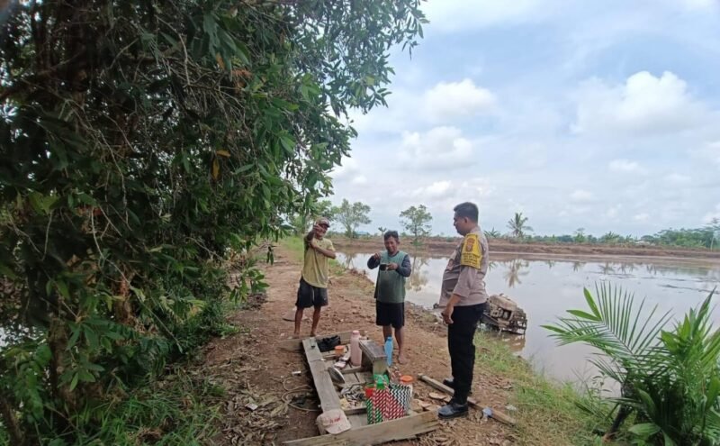 Bhabinkamtibmas Food Estate Melaksanakan Cek Sawah untuk Pengawasan Keamanan dan Ketahanan Pangan