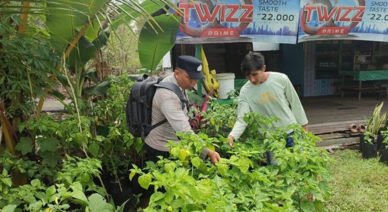 SATBINMAS SAMBANG PETANI SAMPAIKAN PESAN-PESAN KAMTIBMAS (foto)