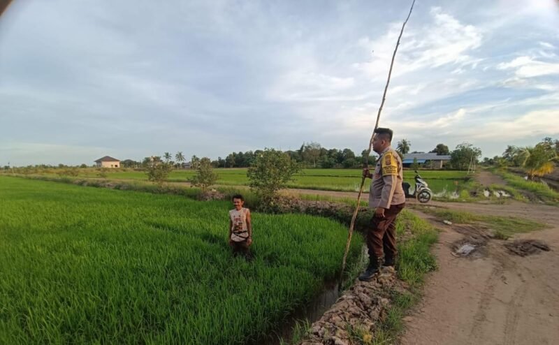 Bhabinkamtibmas Food Estate Melaksanakan Cek Sawah untuk Pengawasan Keamanan dan Ketahanan Pangan (foto/istimewah)