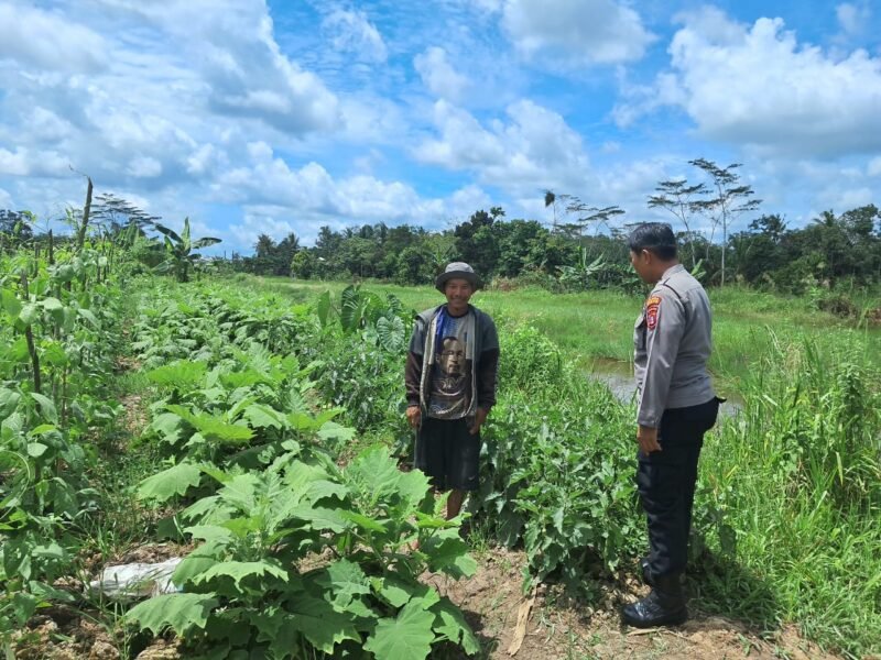 SATBINMAS SAMBANG PETANI SAMPAIKAN PESAN-PESAN KAMTIBMAS