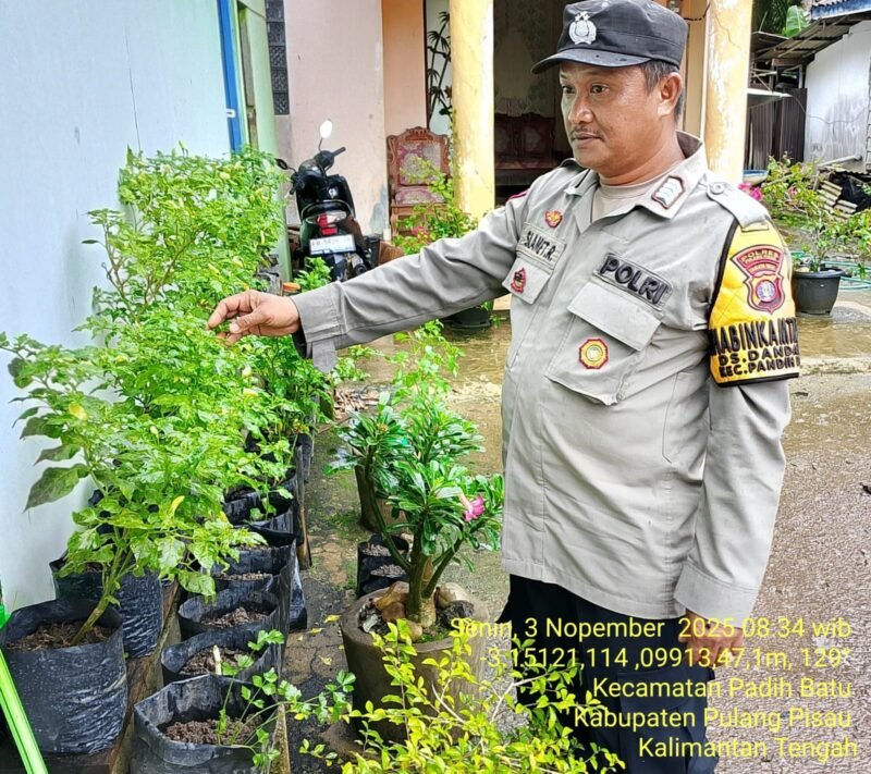 Bhabinkamtibmas Desa Dandang Sambangi Masyarakat Desa Binaan sekaligus Sisipkan Pesan Kamtibmas terkait pemanpaatan perkarangan Untuk Menanam Tanaman Pangan Bergizi
