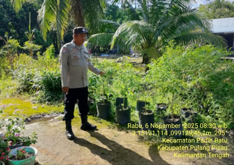 Bhabinkamtibmas Desa Dandang Sambangi Masyarakat Desa Binaan sekaligus Sisipkan Pesan Kamtibmas terkait pemanpaatan perkarangan Untuk Menanam Tanaman Pangan Bergizi