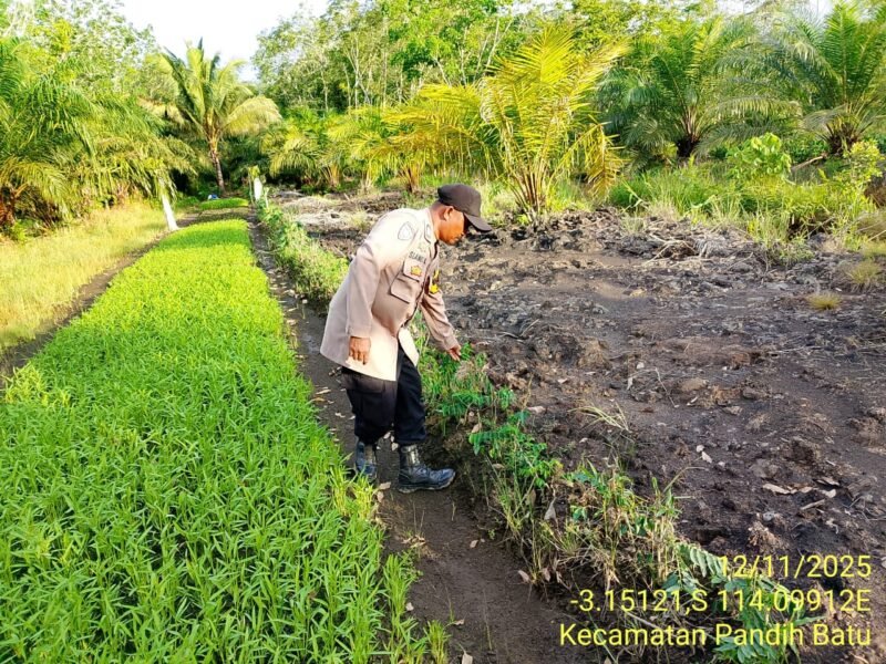 Bhabinkamtibmas Desa Dandang Sambangi Masyarakat Desa Binaan sekaligus Sisipkan Pesan Kamtibmas terkait pemanpaatan perkarangan Untuk Menanam Tanaman Pangan Bergizi