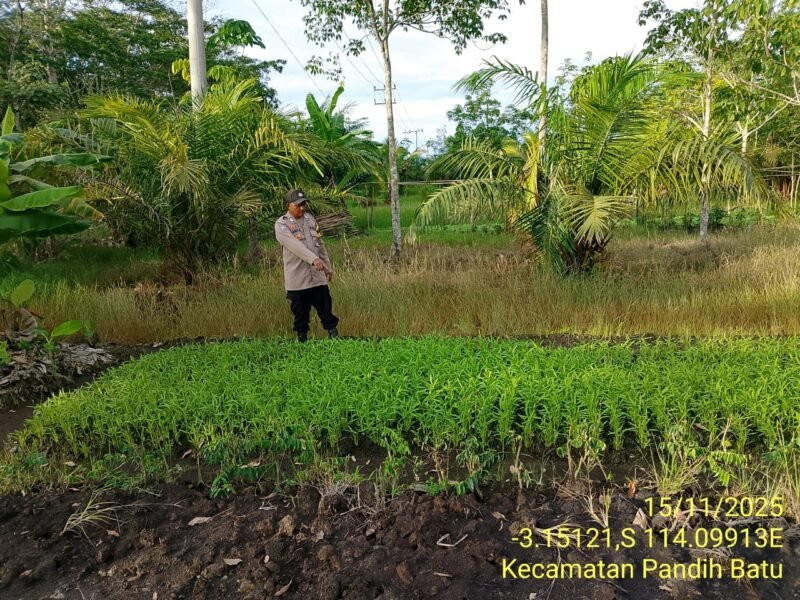 Bhabinkamtibmas Desa Dandang Sambangi Masyarakat Desa Binaan sekaligus Sisipkan Pesan Kamtibmas terkait pemanpaatan perkarangan Untuk Menanam Tanaman Pangan Bergizi