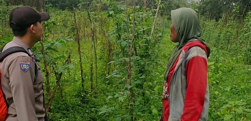TargetNews.ID/Redaksi/Foto/Kepolisian Sektor Maliku Polres Pulang Pisau terus menunjukkan komitmennya dalam menjaga keamanan dan ketertiban masyarakat (kamtibmas) melalui kegiatan sambang yang dilaksanakan secara rutin oleh para personel Polsek Maliku di Wilkum Kecamatan Maliku, Kabupaten Pulang Pisau, Kalteng, Senin (17/11/2025) pagi.