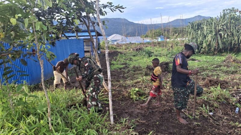 Foto: Lahan Pangan Satgas Yonif 521/DY Bantu Warga, Ubah Lahan Kosong Jadi Sumber Pangan Bersama di Kobakma