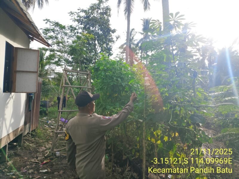 Bhabinkamtibmas Desa Dandang Sambangi Masyarakat Desa Binaan sekaligus Sisipkan Pesan Kamtibmas terkait pemanpaatan perkarangan Untuk Menanam Tanaman Pangan Bergizi