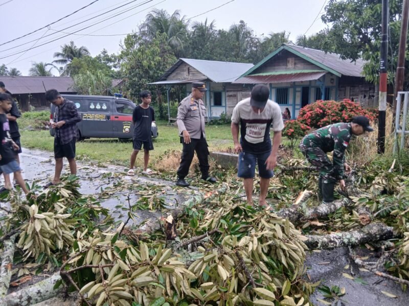 Babinsa Koramil 05/Pemangkat dan Warga Gelar Karya Bakti Bersihkan Pohon Tumbang Akibat Angin Kencang