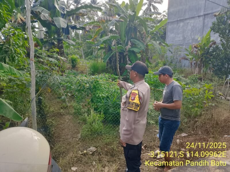 Bhabinkamtibmas Desa Dandang Sambangi Masyarakat Desa Binaan sekaligus Sisipkan Pesan Kamtibmas terkait pemanpaatan perkarangan Untuk Menanam Tanaman Pangan Bergizi
