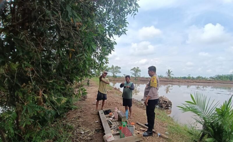 Bhabinkamtibmas Food Estate Melaksanakan Cek Sawah untuk Pengawasan Keamanan dan Ketahanan Pangan