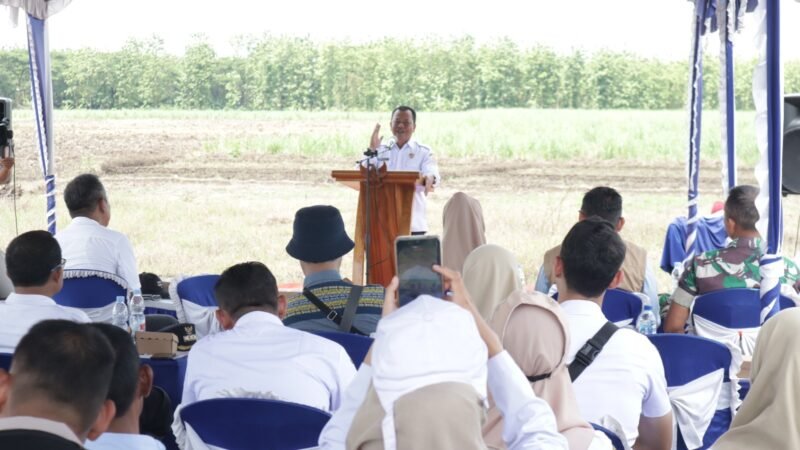 TargetNews.id/Foto/'Upaya memperkuat ketahanan pangan nasional kembali ditegaskan oleh Pemerintah Kabupaten Brebes melalui pelaksanaan Tanam Perdana Kegiatan Bongkar Ratoon Tanaman Tebu yang digelar di Desa Pende, Kecamatan Banjarharjo, Rabu (26/11/2025).