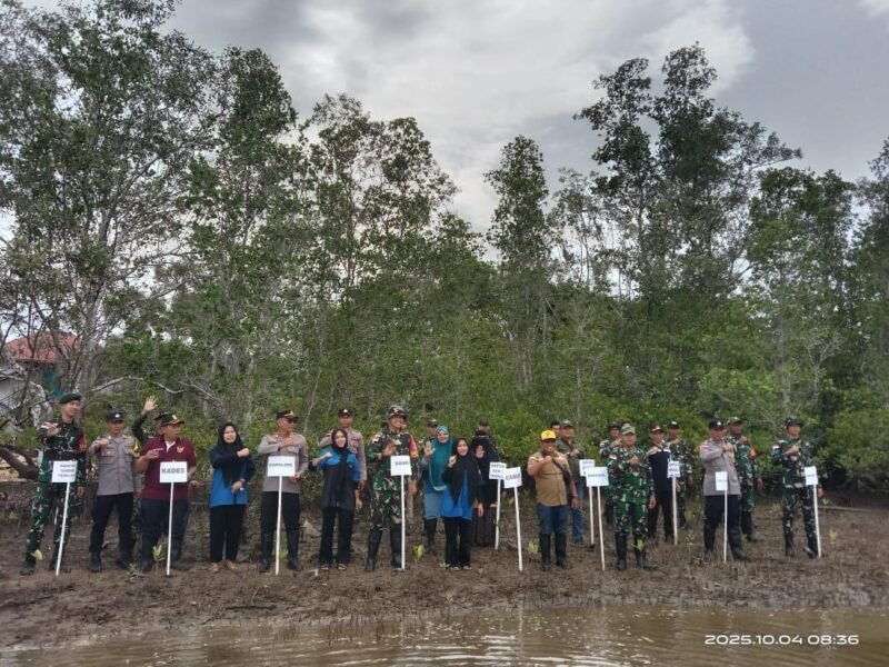 Koramil 08/Paloh Ikuti Penanaman Pohon Mangrove di Pesisir dalam Program Pemeliharaan Lingkungan Hidup