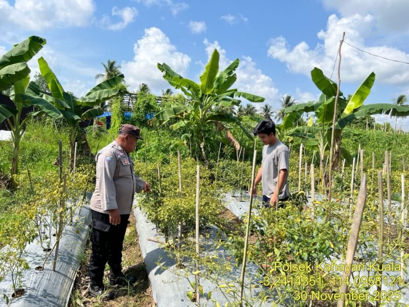 Giat dukungan terhadap program pemerintah Pusat tentang Ketahanan Pangan