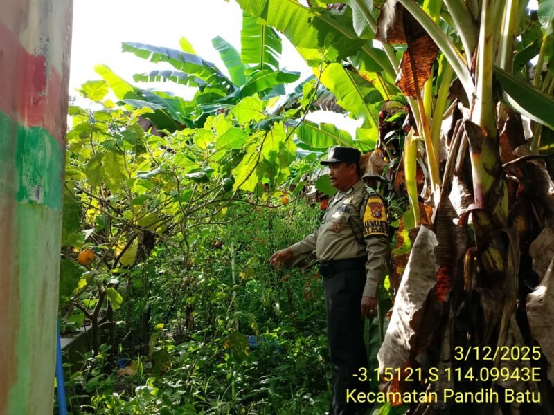 Bhabinkamtibmas Desa Dandang Sambangi Masyarakat Desa Binaan sekaligus Sisipkan Pesan Kamtibmas terkait pemanpaatan perkarangan Untuk Menanam Tanaman Pangan Bergizi