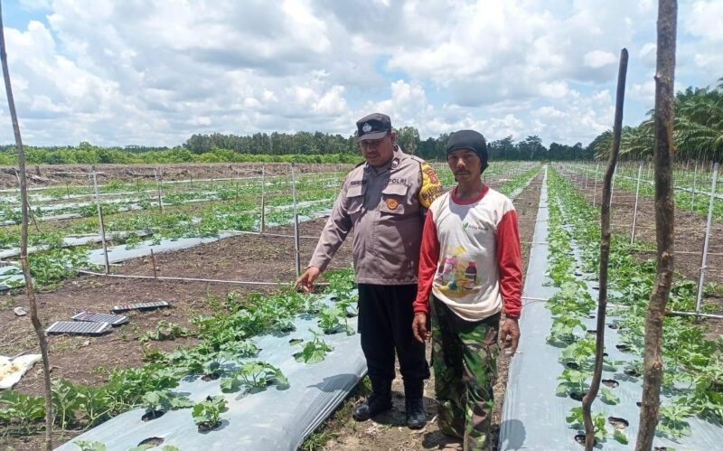 SATBINMAS SAMBANG PETANI SAMPAIKAN PESAN-PESAN KAMTIBMAS