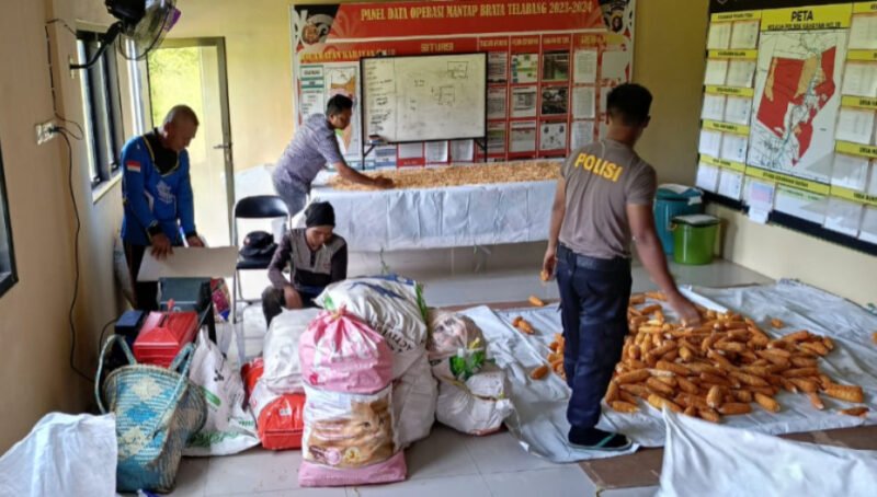 Polisi Bantu Pipil Hingga Jemur Jagung, Dukungan Nyata Polsek Kahayan Hilir untuk Petani