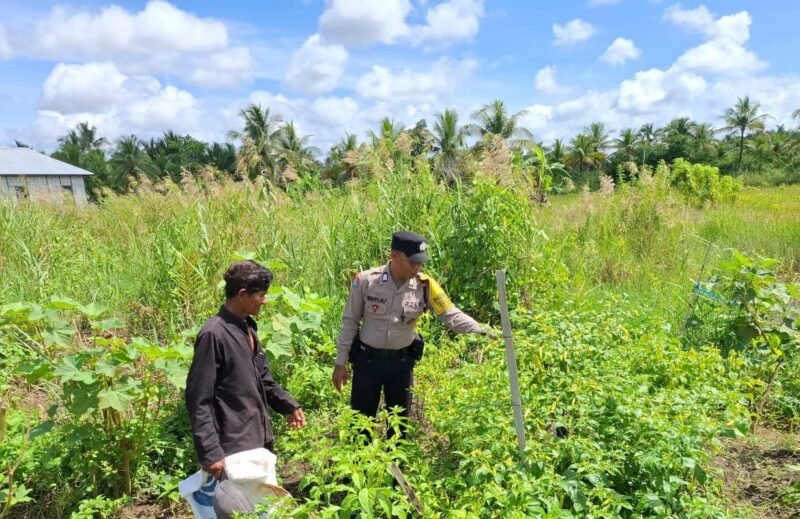 SATBINMAS SAMBANG PETANI SAMPAIKAN PESAN-PESAN KAMTIBMAS
