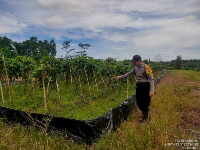 Sampaikan Imbauan Kamtibmas Kepada Masyarakat oleh Personel Polsek Maliku