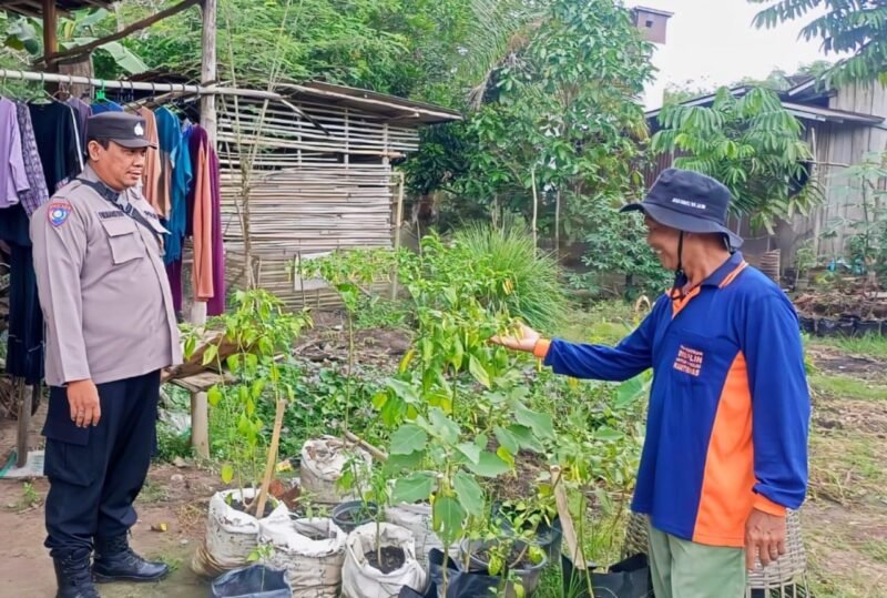 Bhabinkamtibmas Food Estate Melaksanakan Cek Sawah untuk Pengawasan Keamanan dan Ketahanan Pangan