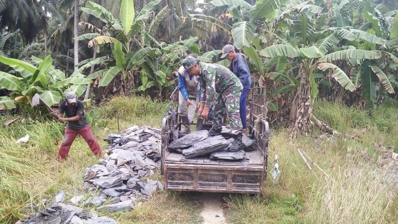 Anggota Babinsa Koramil 04/Jawai Bersama Warga Timbun Jalan Menuju Persawahan