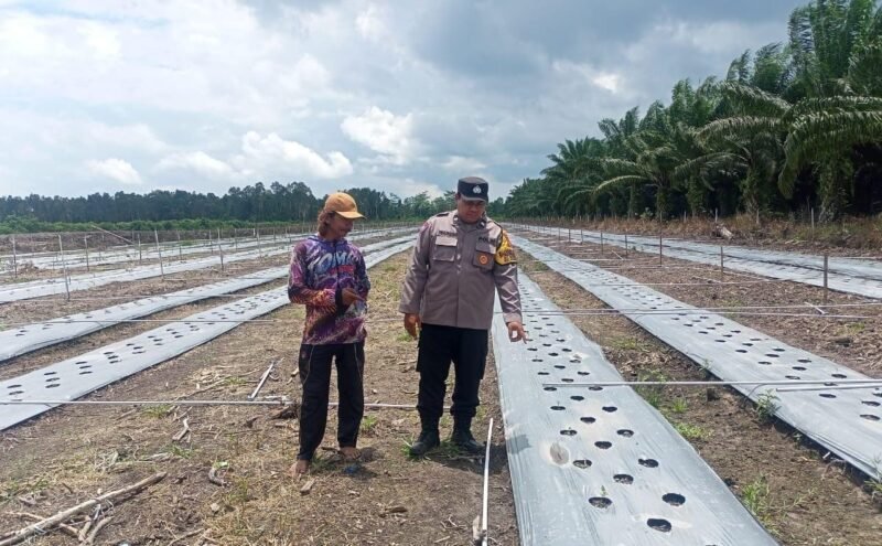 SATBINMAS SAMBANG PETANI SAMPAIKAN PESAN-PESAN KAMTIBMAS