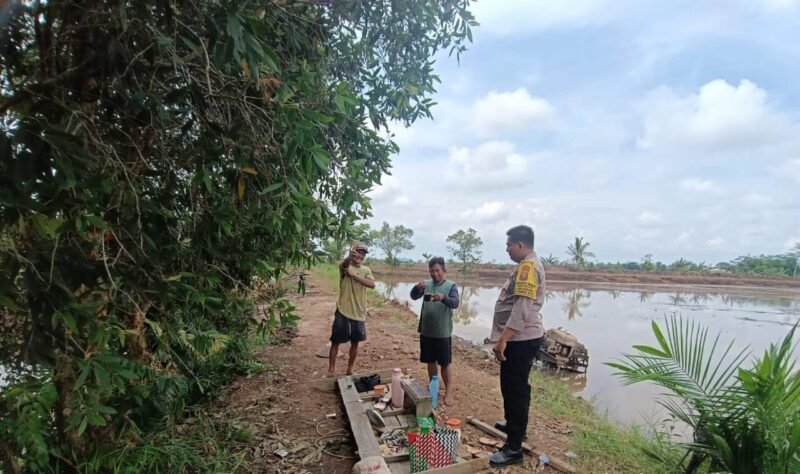 Bhabinkamtibmas Food Estate Melaksanakan Cek Sawah untuk Pengawasan Keamanan dan Ketahanan Pangan