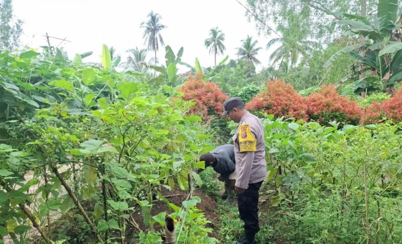 SATBINMAS SAMBANG PETANI SAMPAIKAN PESAN-PESAN KAMTIBMAS