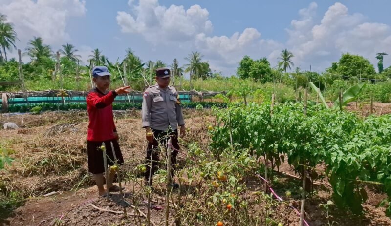 SATBINMAS SAMBANG PETANI SAMPAIKAN PESAN-PESAN KAMTIBMAS